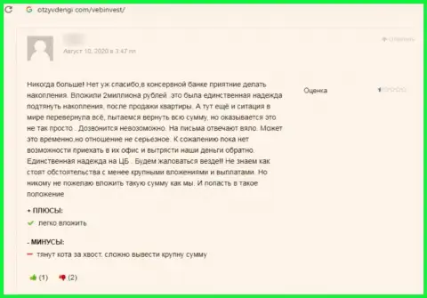Недоброжелательный отзыв о компании WebInvestment Ru - это стопроцентные ВОРЮГИ !!! Нельзя верить им