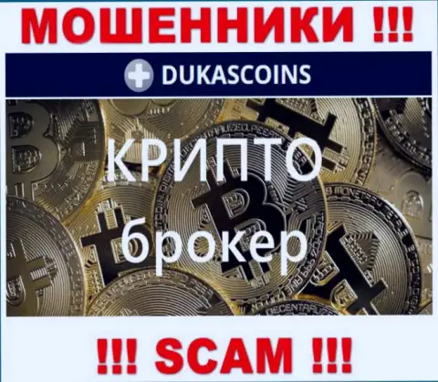 Вид деятельности internet-кидал DukasCoin - это Crypto trading, но знайте это развод !!!