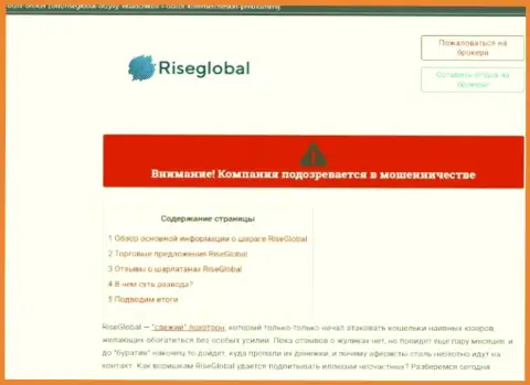 Внимательно проанализируете условия совместной работы RiseGlobal, в конторе дурачат (обзор)
