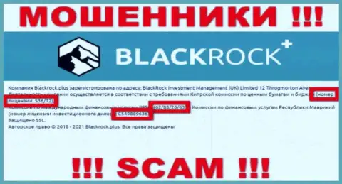 BlackRock Plus скрывают свою мошенническую суть, показывая у себя на сайте лицензию