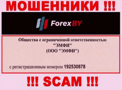 На портале мошенников Forex BY приведен этот номер регистрации указанной организации: 192530878