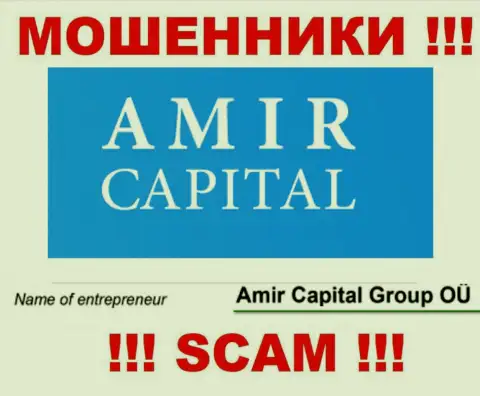 Амир Капитал Групп ОЮ - это компания, которая управляет internet-ворами АмирКапитал