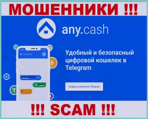 Any Cash - это мошенники, их работа - Цифровой кошелек, нацелена на присваивание финансовых вложений людей