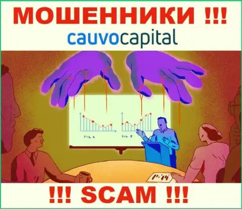 Слишком опасно соглашаться работать с интернет мошенниками Cauvo Capital, крадут финансовые вложения