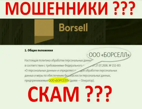 Borsell LLC это компания, которая управляет интернет-мошенниками Борселл