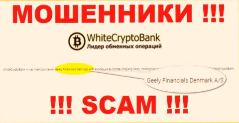Юридическим лицом, управляющим интернет мошенниками White Crypto Bank, является Geely Financials Denmark A/S