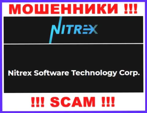 Сомнительная компания Нитрекс Про в собственности такой же опасной компании Nitrex Software Technology Corp