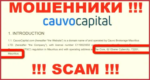 Невозможно забрать вклады у организации CauvoCapital Com - они отсиживаются в офшоре по адресу: The Core, 62 Ebene Cybercity, 72201, Mauritius