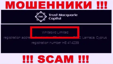 На информационном ресурсе Траст-М-Капитал Ком сказано, что указанной конторой владеет Whitebird Limited