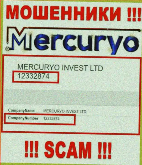 Номер регистрации противозаконно действующей компании Меркурио: 12332874