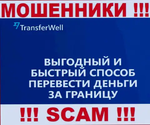 Не верьте, что деятельность TransferWell в сфере Платежная система легальна