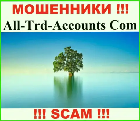 All-Trd-Accounts Com воруют денежные активы и выходят сухими из воды - они спрятали информацию о юрисдикции