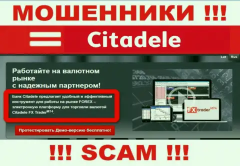 Направление деятельности мошеннической организации Citadele - это Форекс