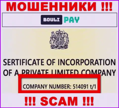 Регистрационный номер Bouli Pay может быть и липовый - 514091 t/1