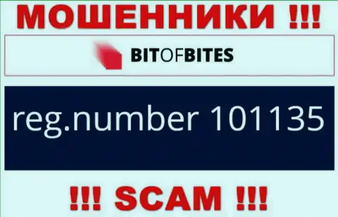 Номер регистрации компании Bit Of Bites, который они представили на своем web-сервисе: 101135
