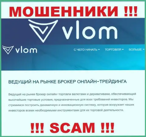 Сфера деятельности мошеннической компании Vlom это Брокер