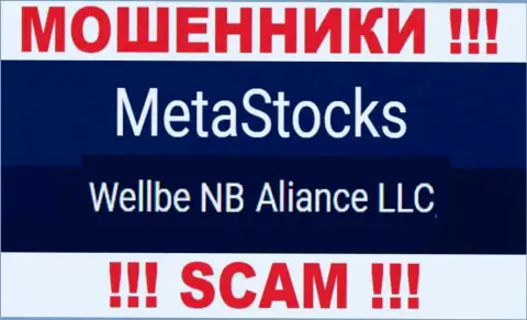 Юридическое лицо интернет-воров Meta Stocks - это Веллбе НБ Альянс ЛЛК