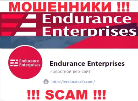 Связаться с internet махинаторами из компании Endurance FX Вы можете, если напишите сообщение им на адрес электронного ящика